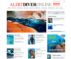 Alert Diver Online